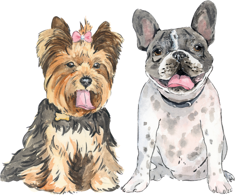 Retrato dos pets